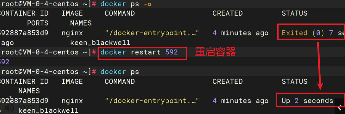 Docker快速通关